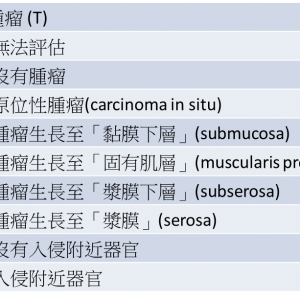 腸癌 - 腫瘤 (T) TNM CRC-T